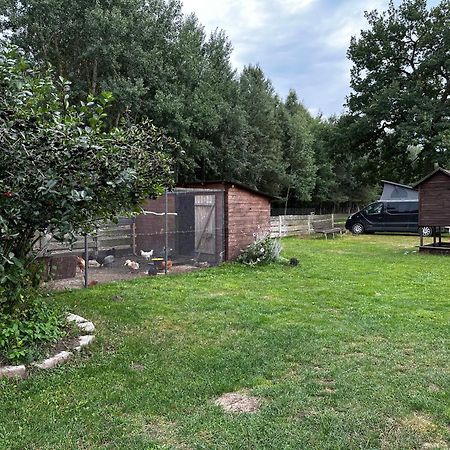 Zamieszkaj Na Wsi Blisko Warszawy Villa Borucza Luaran gambar