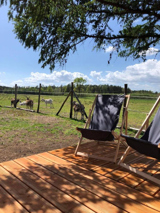 Zamieszkaj Na Wsi Blisko Warszawy Villa Borucza Luaran gambar